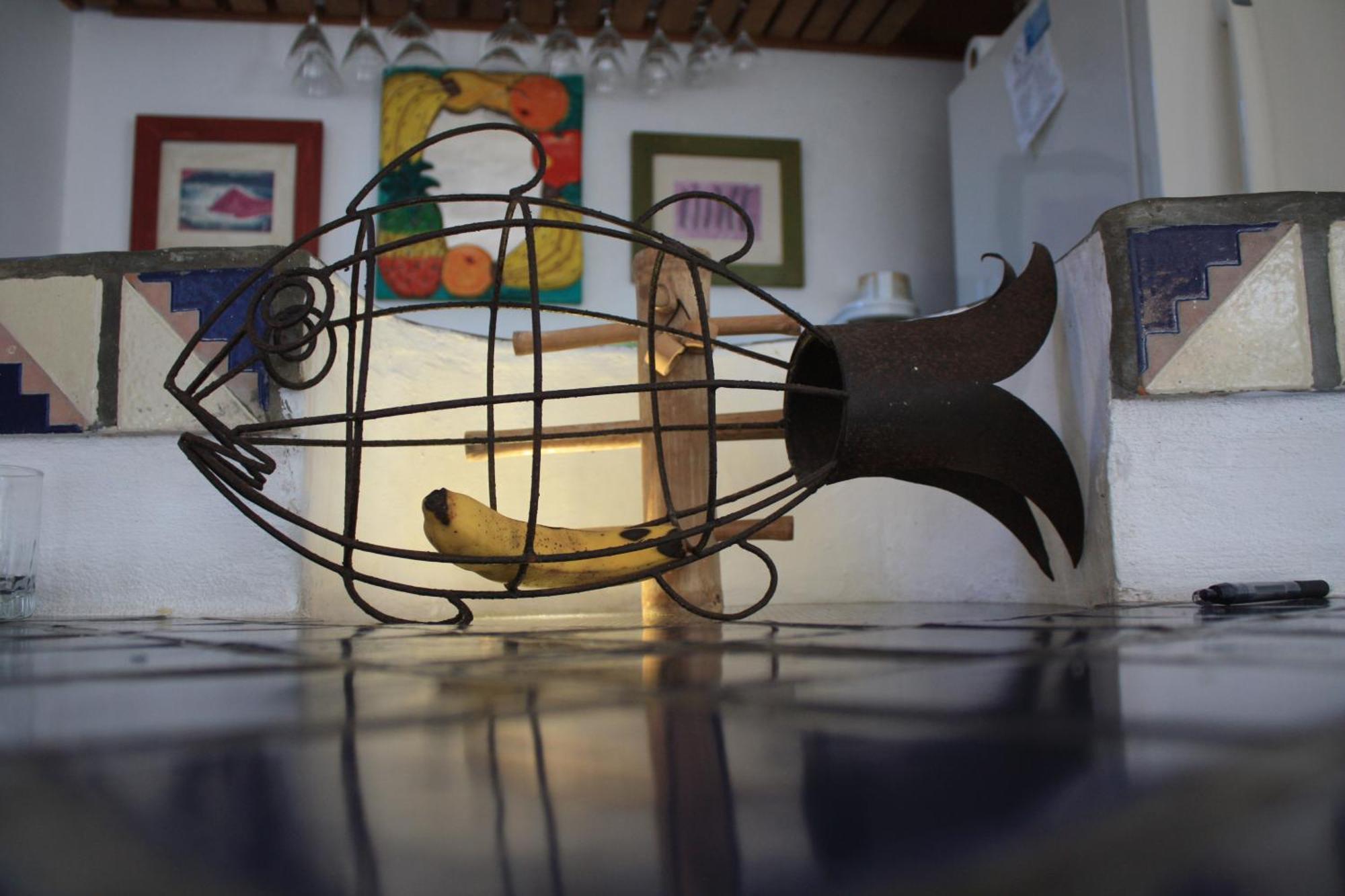 Amaranto Bed And Breakfast Κοζουμέλ Εξωτερικό φωτογραφία