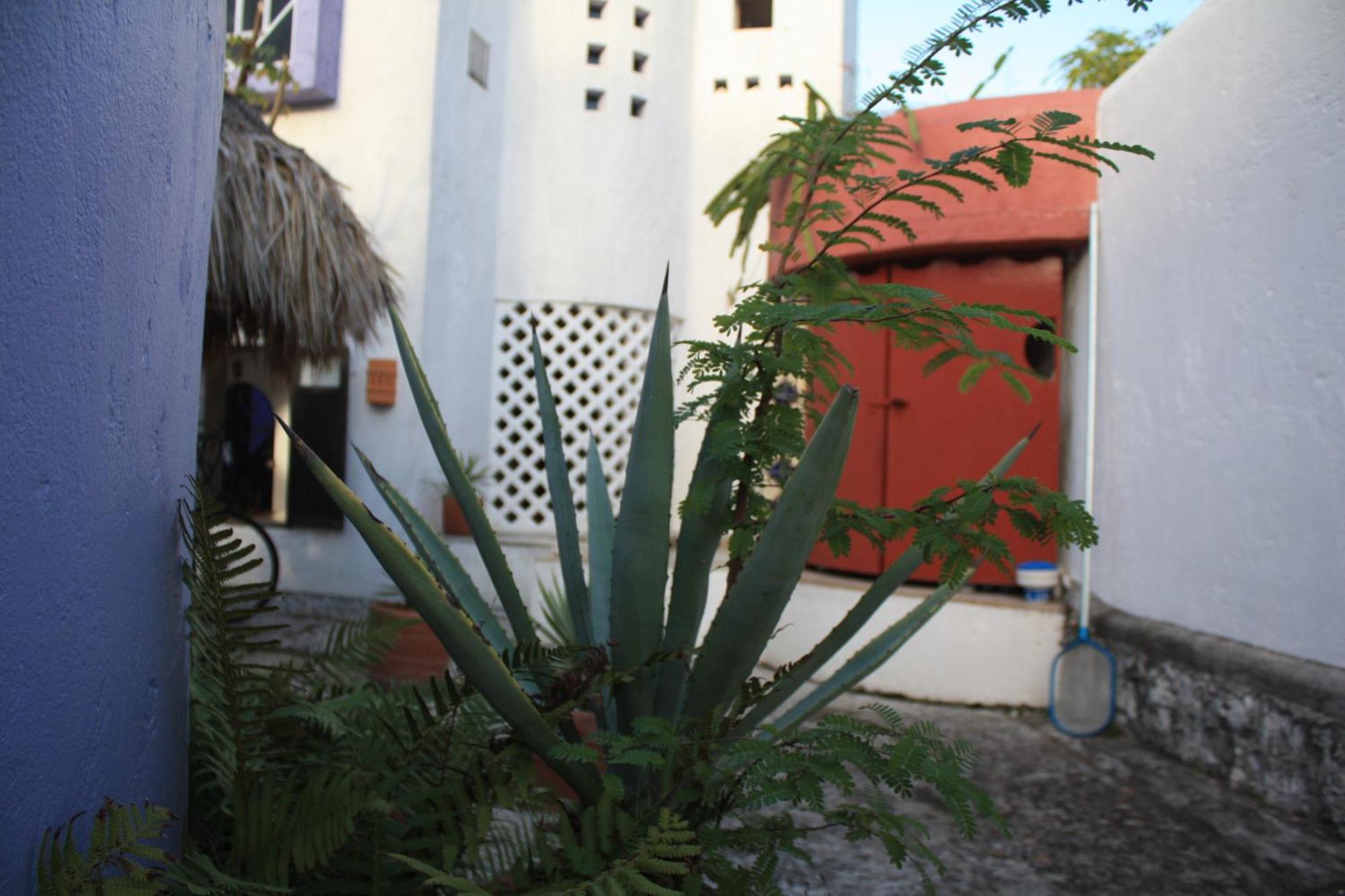 Amaranto Bed And Breakfast Κοζουμέλ Εξωτερικό φωτογραφία
