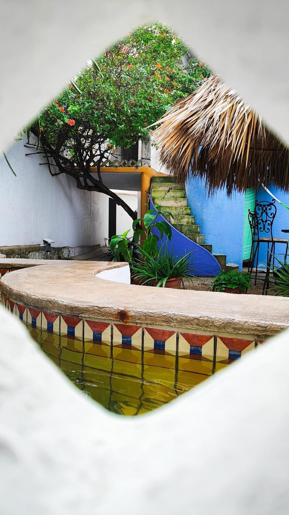Amaranto Bed And Breakfast Κοζουμέλ Εξωτερικό φωτογραφία