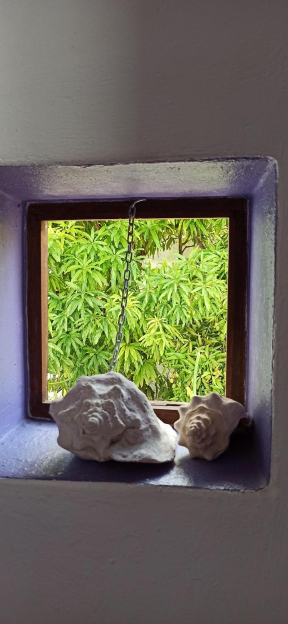 Amaranto Bed And Breakfast Κοζουμέλ Εξωτερικό φωτογραφία