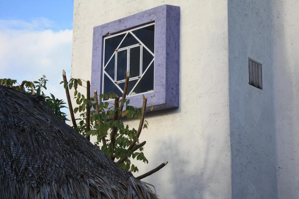 Amaranto Bed And Breakfast Κοζουμέλ Δωμάτιο φωτογραφία